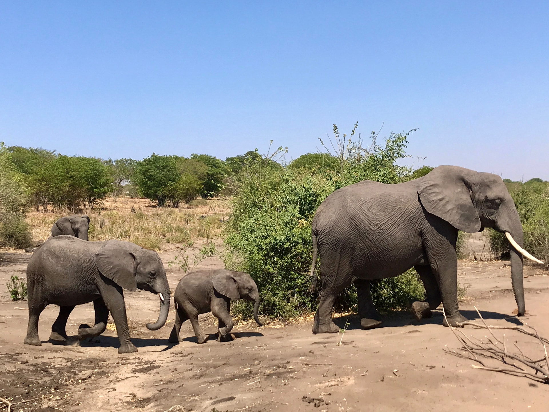 In the Footsteps of Giants
