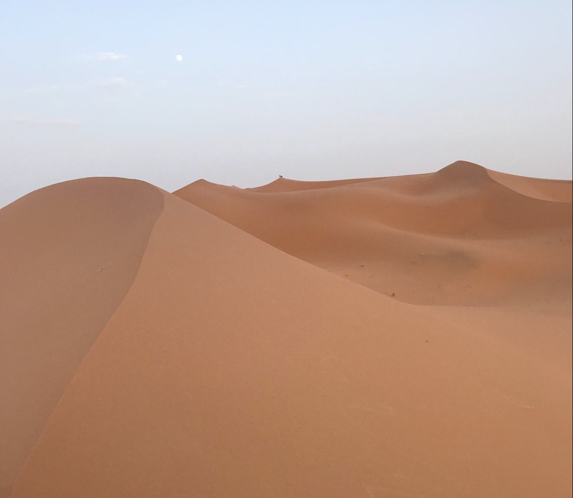 Sand dunes of the Sahara under soft light